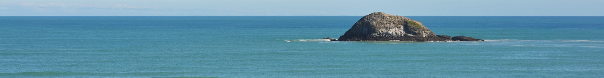 Auckland West Coast Muriwai